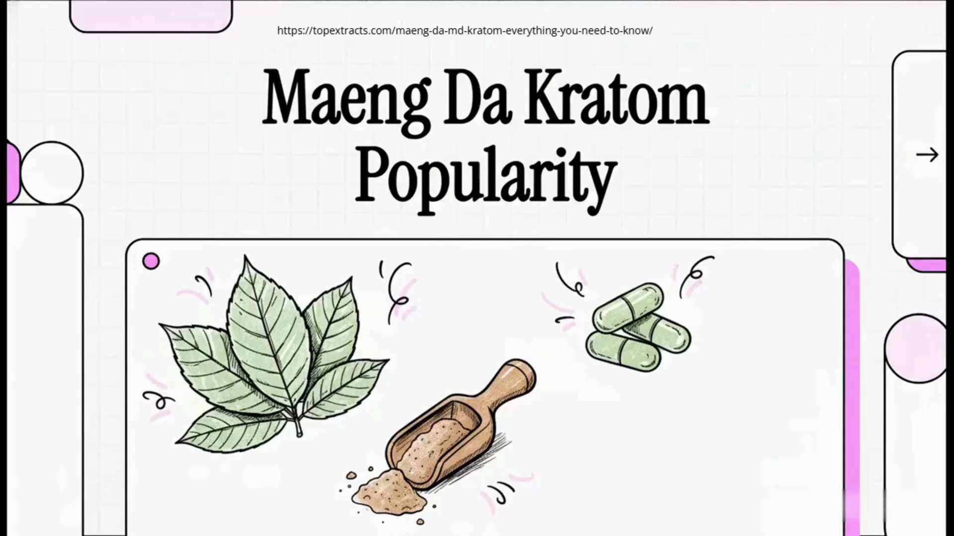 Curious why Maeng Da (MD) Kratom is so popular? Known for its strong reputation and fast-acting feel...
