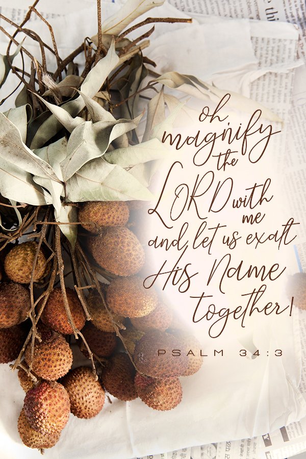 查看 gecko792 在 GETTR 上的帖子。加入讨论，分享您的想法，与社区联系。