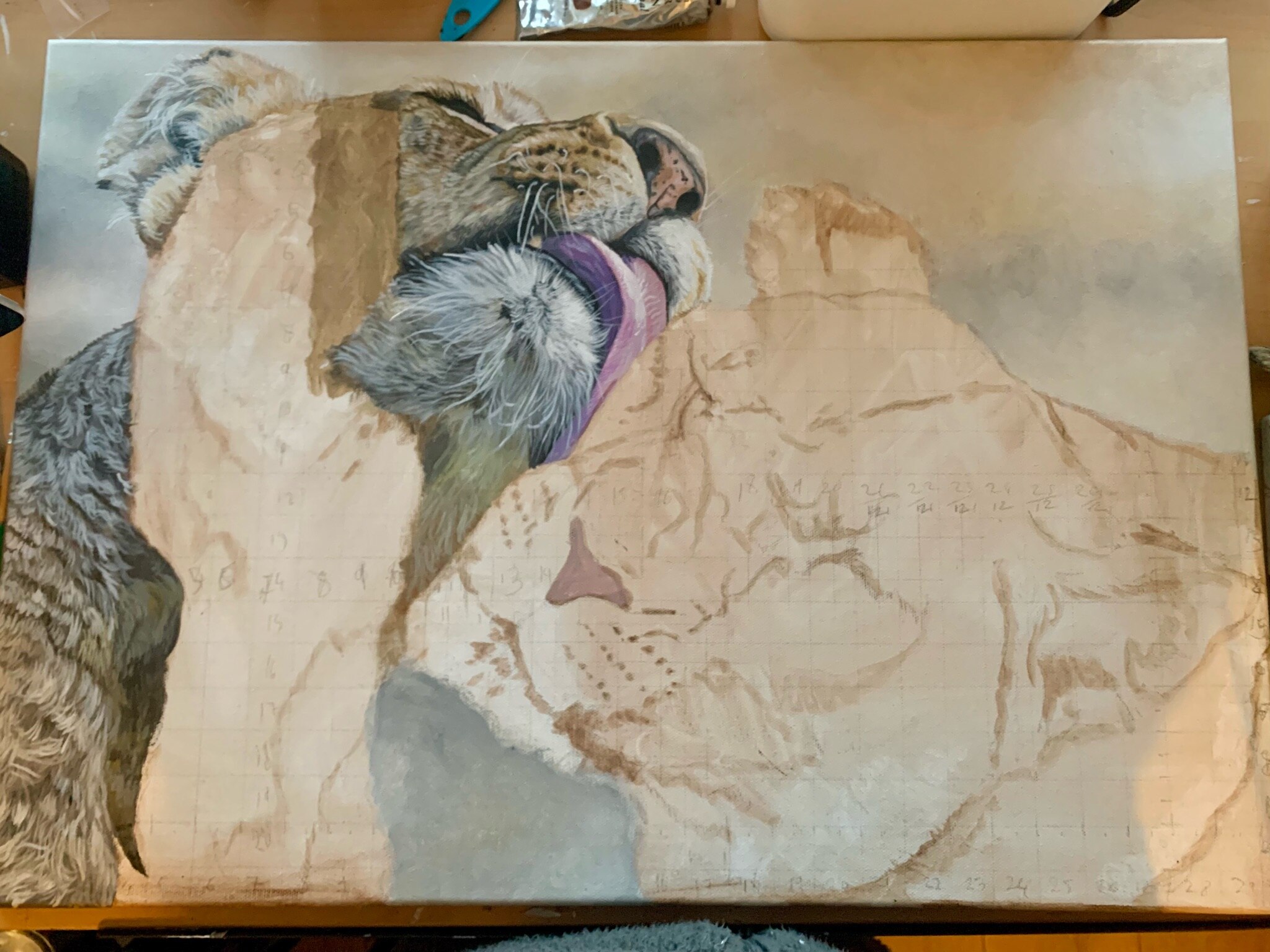 Day three of my work in progress. I’m working on layers to get the depth of the chin hairs today. 
#...