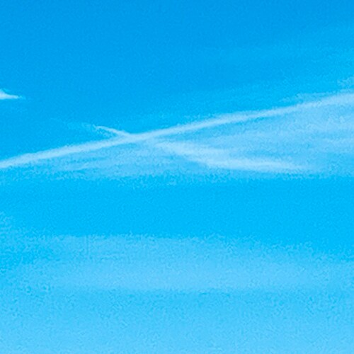 Trust in God, Fight for Justice✨✨✨        
Take Down the Evil Chinese Communist Party !!!