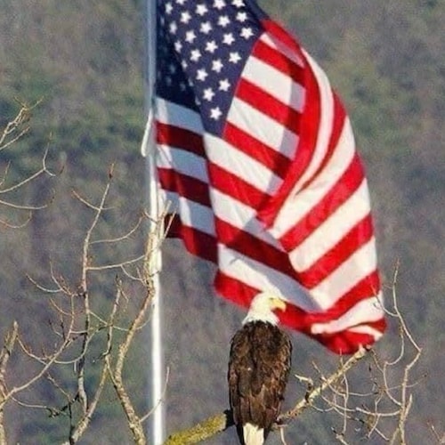 Keeping America Great