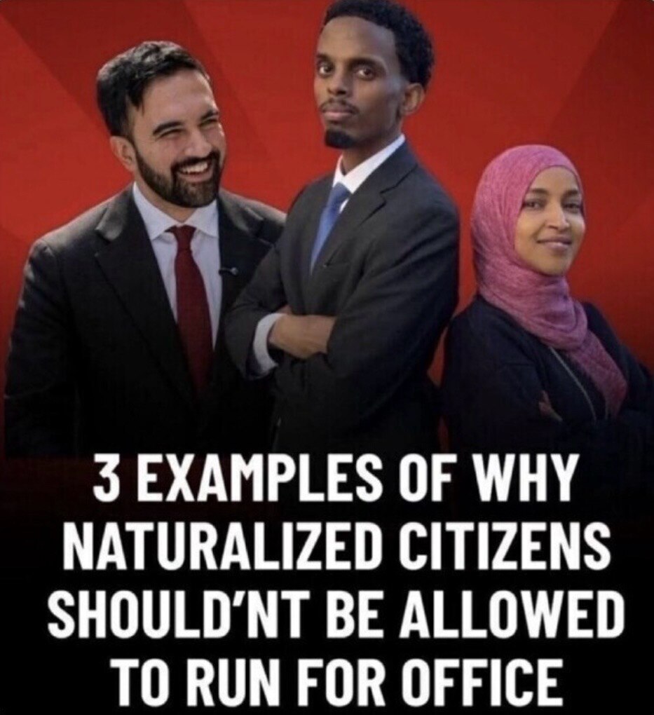 The law needs changed now! Born and bred U.S. citizens ONLY!!! ♦️♦️♦️  

