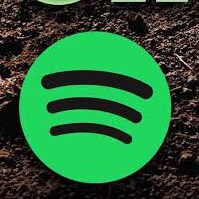 Drop me your music link in my DM now 
 #musician #music #playlist #spotify #audiomack 