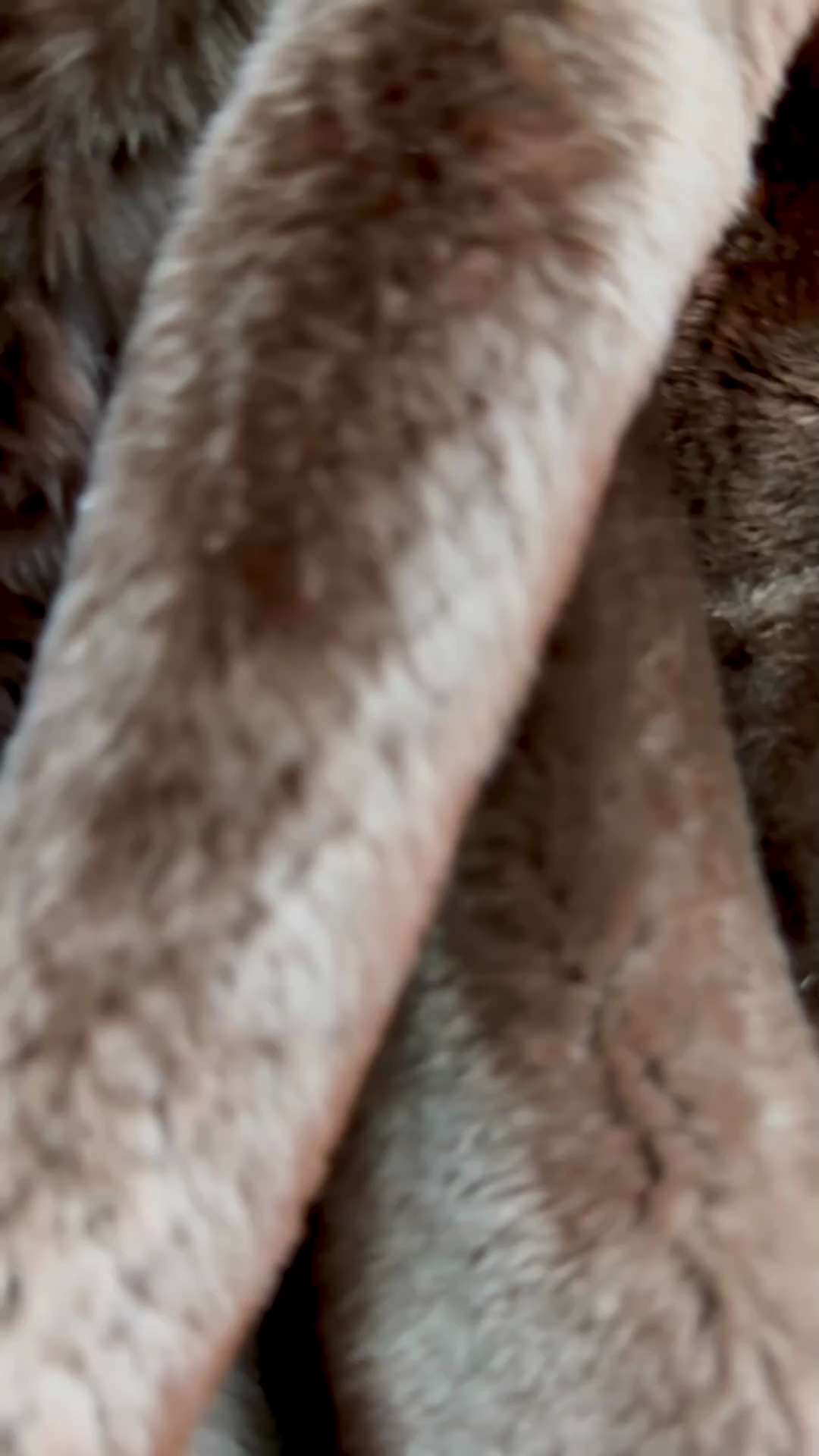 全球的战友们好， 

给大家分享一下新款的 Dark Blue Cashmere Bomber Jacket with beaver fur 小海狸毛作为衬里 

无比的保暖柔软细腻，毛面平整有光泽，...