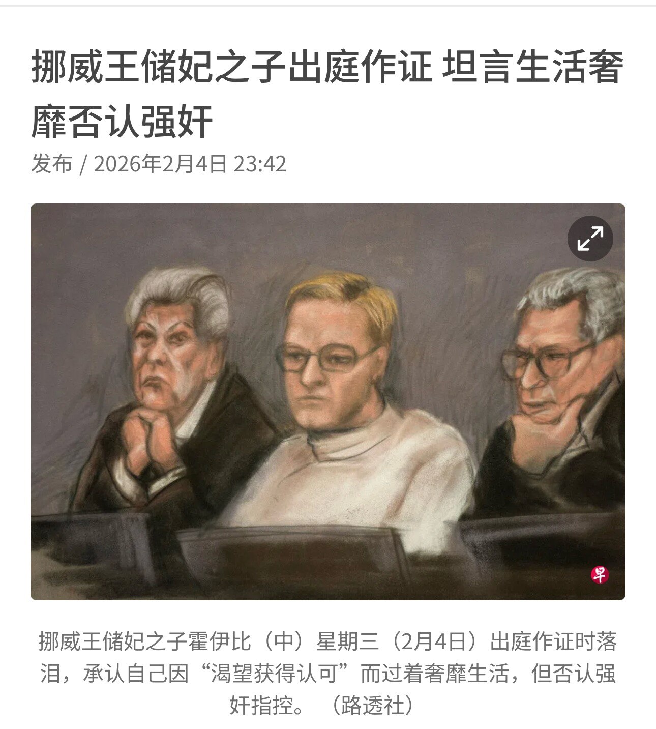 🇳🇴2026年2月4日，挪威王储妃的儿子——马里乌斯·博格·霍伊比，出庭作证
👉 当庭落泪，承认奢靡生活方式，但否认强奸指控

👤 身份：挪威王储妃梅特—玛丽特与前夫之子，29岁

⚖️ 指控...