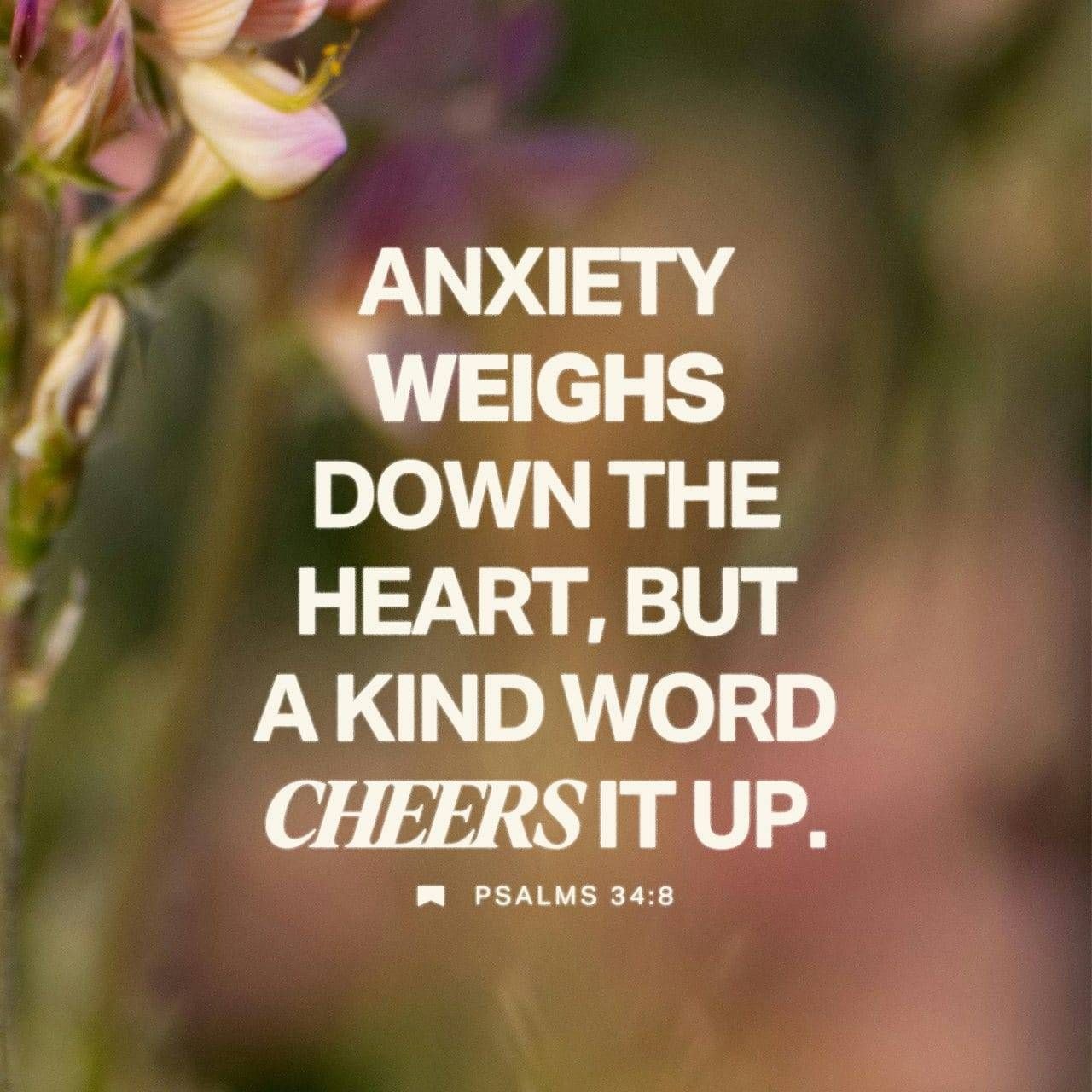 查看 Brian K. Taylor 在 GETTR 上的帖子。加入讨论，分享您的想法，与社区联系。