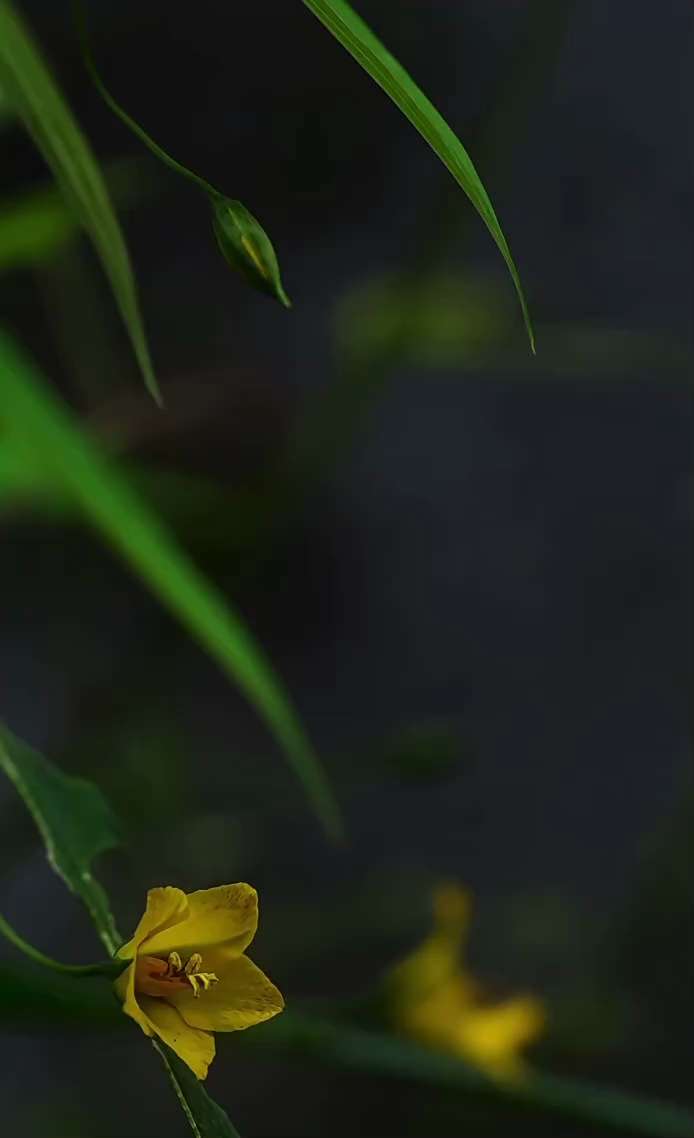 After winter comes spring.