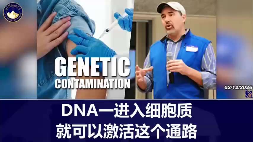 基因组学专家Kevin_McKernan提供的证据表明，监管机构忽视了COVID病毒“疫苗”中残留的DNA污染。他的分析揭露了导致危险基因注射产品流入市场的检测缺陷。
Evidence provide...