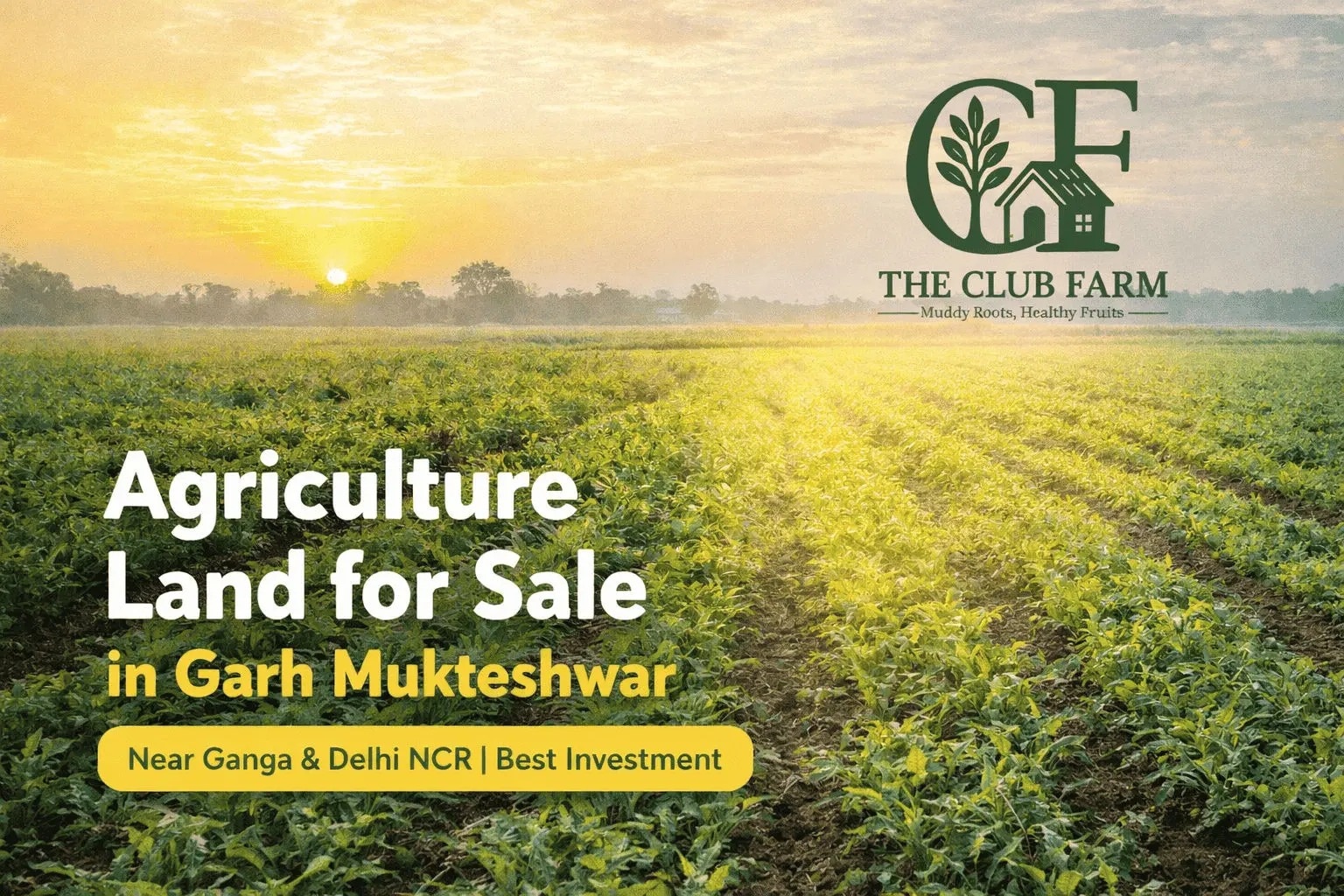 Agriculture Land For Sale in Haridwar – Premium Farmland Opportunities by The Club Farm

Agriculture...