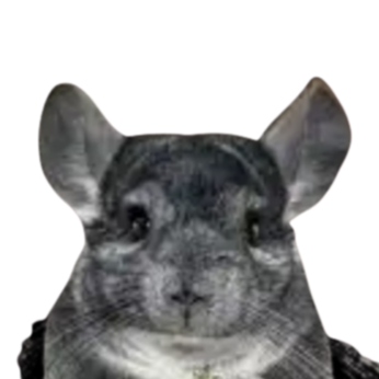 Visit Jengchilla's profile on GETTR. View their posts, photos, videos, and connect with them on the social platform.