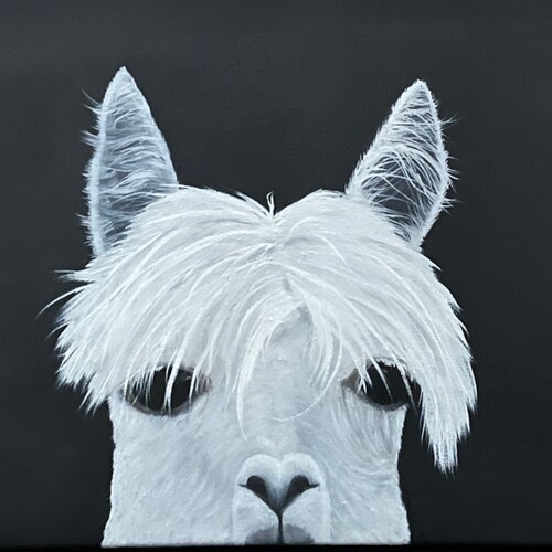 Love this country. Back the Blue. Catholic.