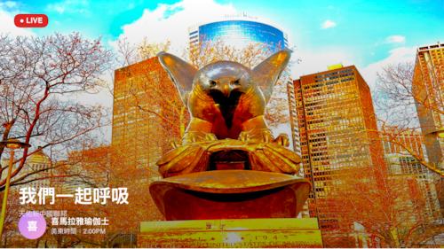 2026-2-24 扎西得勒🙏戰友兄弟姐妹們好🙏感謝大家的時間🙏我們一起呼吸🙏天氣突然變冷了並且風很大🙏
主播：导播：LAMA  喜馬拉雅瑜伽士