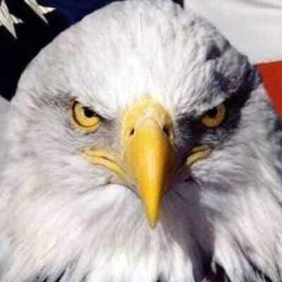 Conservative | Patriot 
Faith, freedom, family 
Sharing truth, not following media