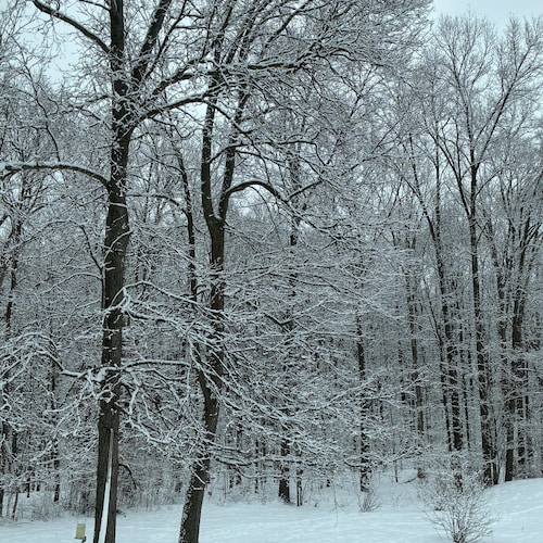 The EU is dictating warnings to Americans. Free Speech is 
“forbidden “ in the land of free trade.
A...