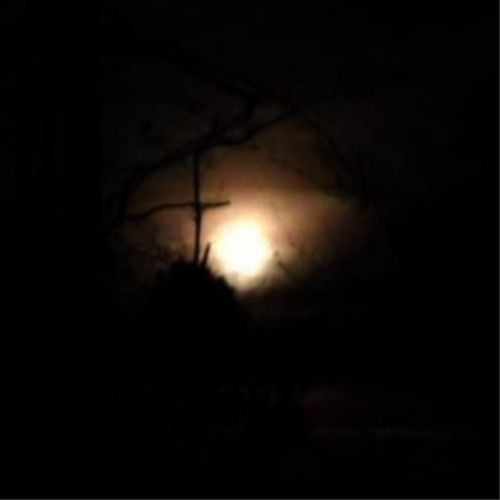 Rhymer of words, dreamer of dreams, completely aware nothing is as it seems.  Gold Star daughter.  Unreconstructed Rebel...