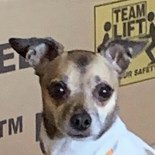 Keep America Great!
ENOUGH OF ALL THIS DEMOCRACY TALK! WE ARE A CONSTITUTIONAL REPUBLIC ! Citizen journalist! RAV/GETTR ...