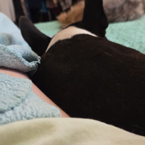 Visit Bass Jessica's profile on GETTR. View their posts, photos, videos, and connect with them on the social platform.