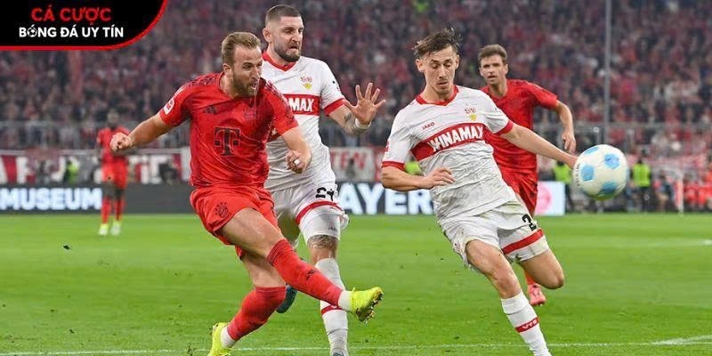 Soi kèo Bayern Munich vs Stuttgart, 22h30 ngày 19/4 – Bundesliga



Soi kèo Bayern Munich vs Stuttga...