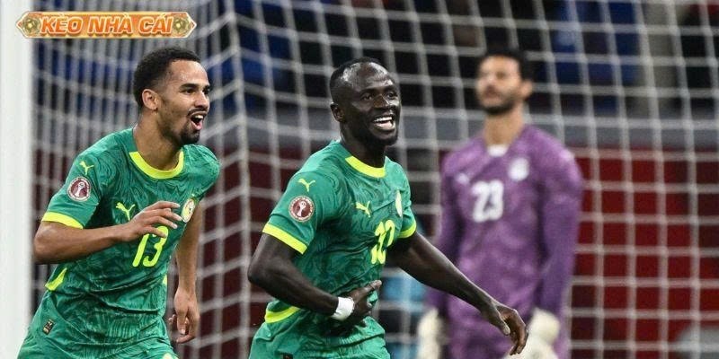 Đội tuyển Senegal World Cup 2026: Sức mạnh của Chú Sư Tử



Đội tuyển Senegal World Cup 2026 – biểu ...