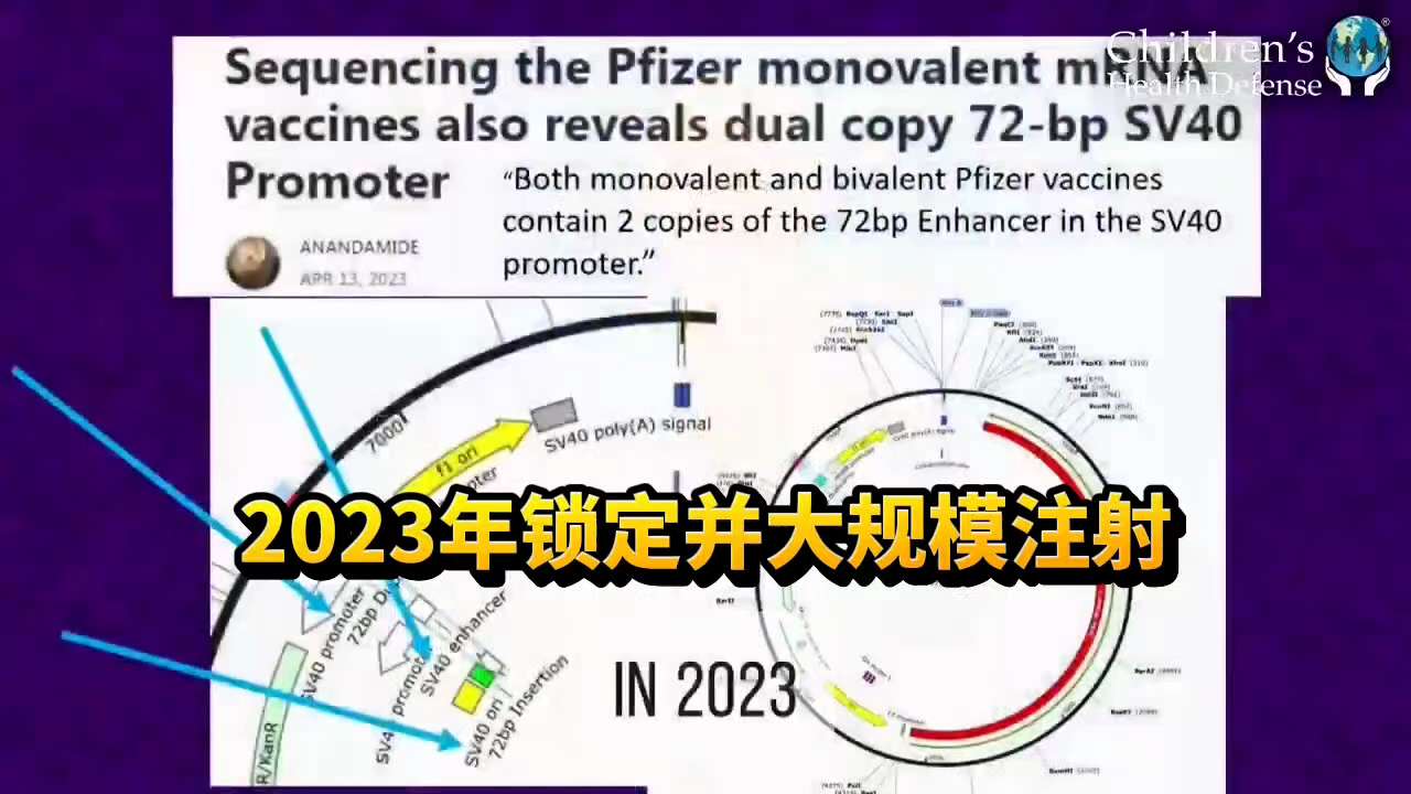 这就是为什么这么多孩子被诊断出患有四期癌症的原因。

“凯文·麦克纳恩博士对辉瑞疫苗的进一步测试表明，疫苗中确实含有SV40病毒，但更令人惊讶的是……儿童配方疫苗中的SV40浓度是普通配方的两倍……”