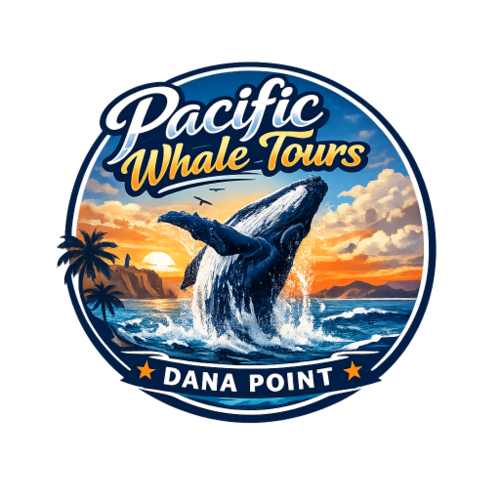 Pacific Whale Tours Dana Point is a locally owned and operated whale watching company based out of Dana Point Harbor in ...
