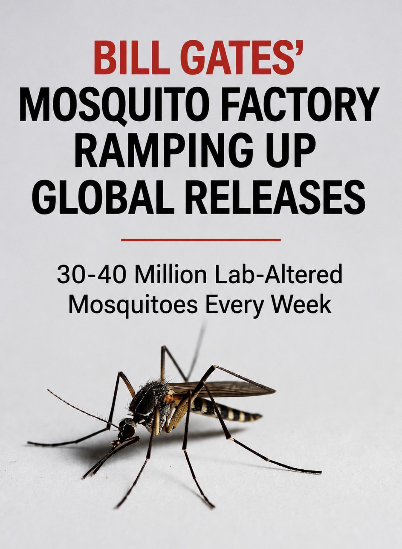 Bill Gates-backed program now releasing 30 to 40 million lab-altered mosquitoes every single week…

...