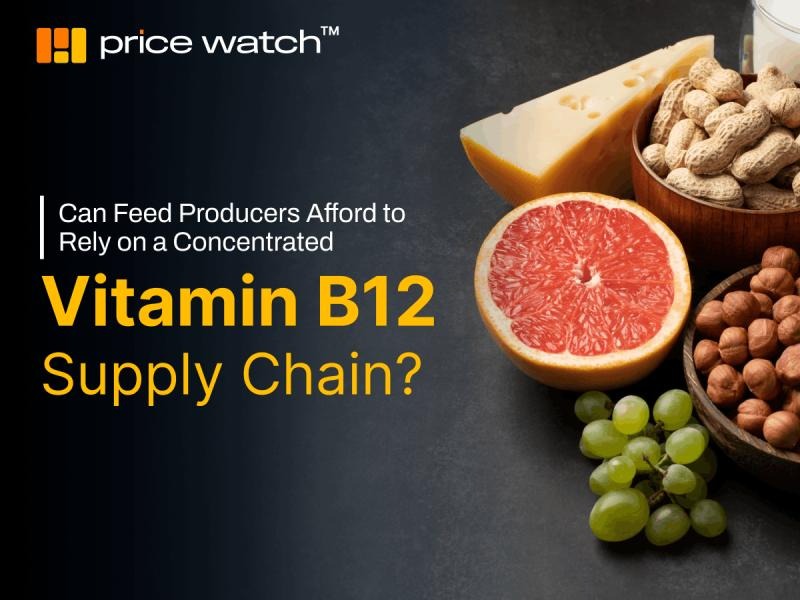 China's dominance in global Vitamin B12 production is increasing supply chain risks and influencing ...
