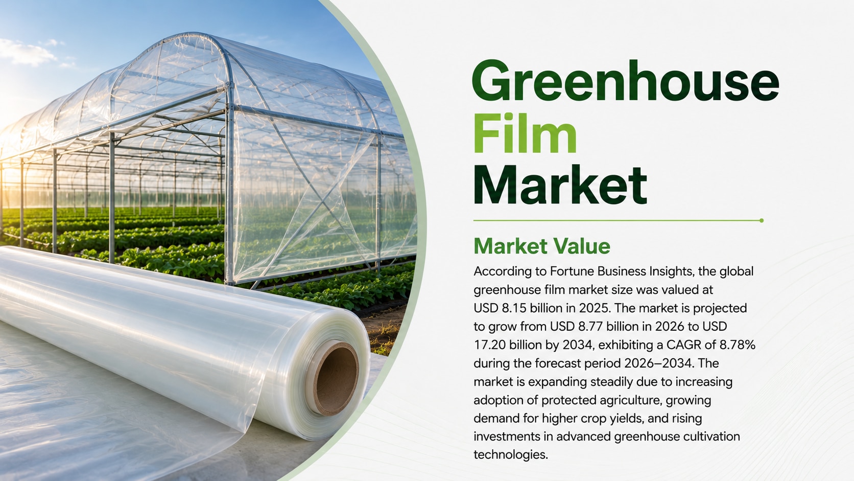 Greenhouse film market: size, trends, growth analysis, and forecast (2026–2034)

According to Fortun...