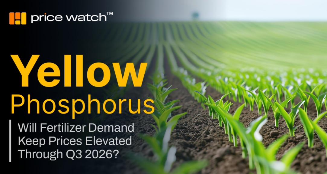Yellow Phosphorus prices have continued to move higher, but rising electricity costs explain only pa...