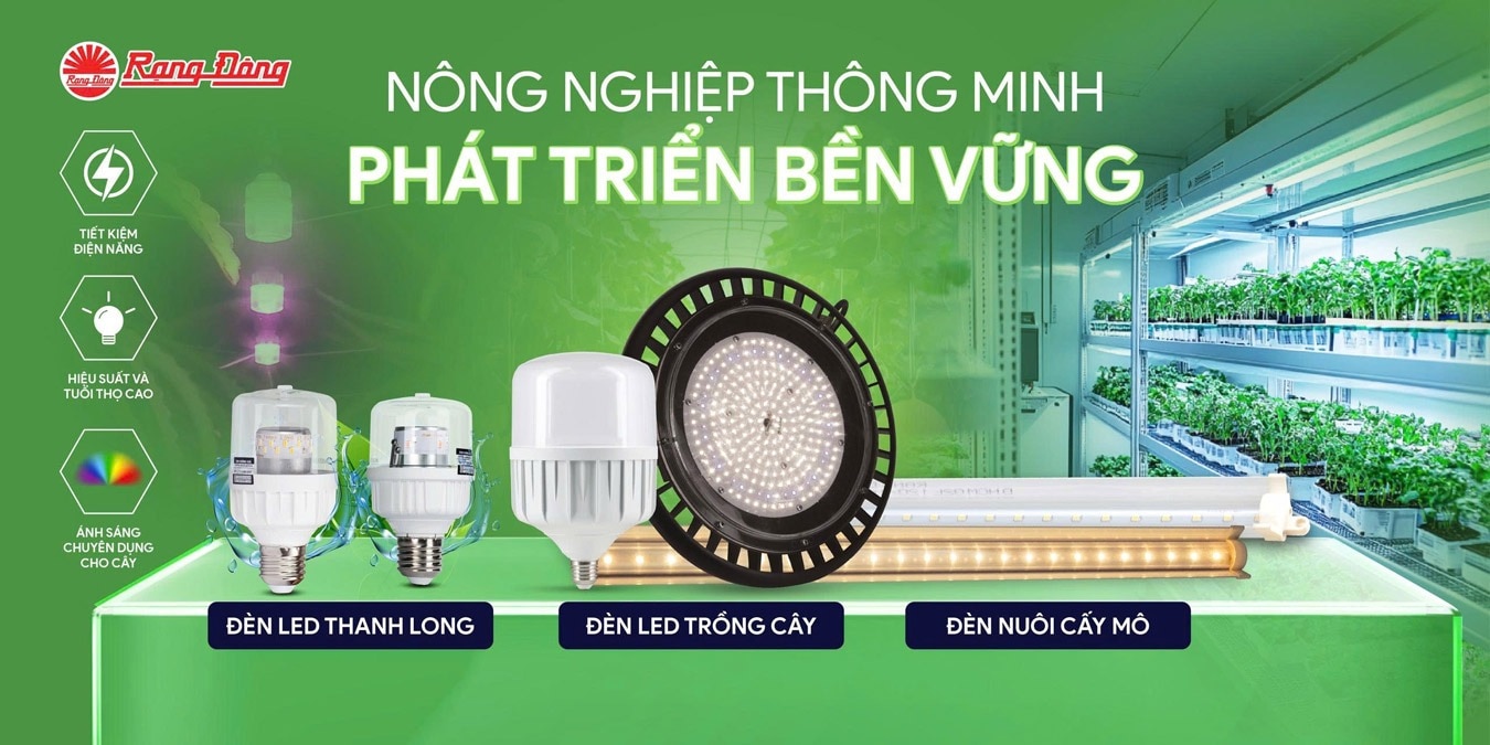 Cách chọn đèn panel 600x600 Rạng Đông phù hợp từng không gian

Last Updated: 24/08/2026

Chọn sai đè...