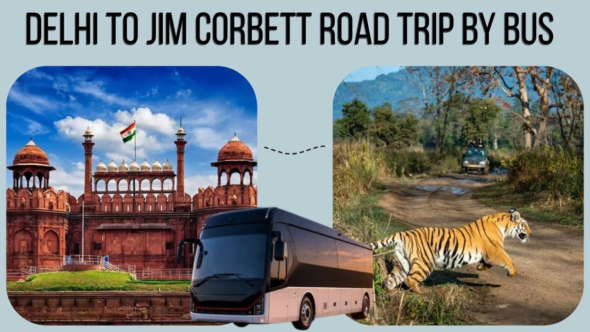 Delhi to Jim Corbett Road Trip by Bus

Thinking about heading to Jim Corbett from Delhi. A bus trip ...