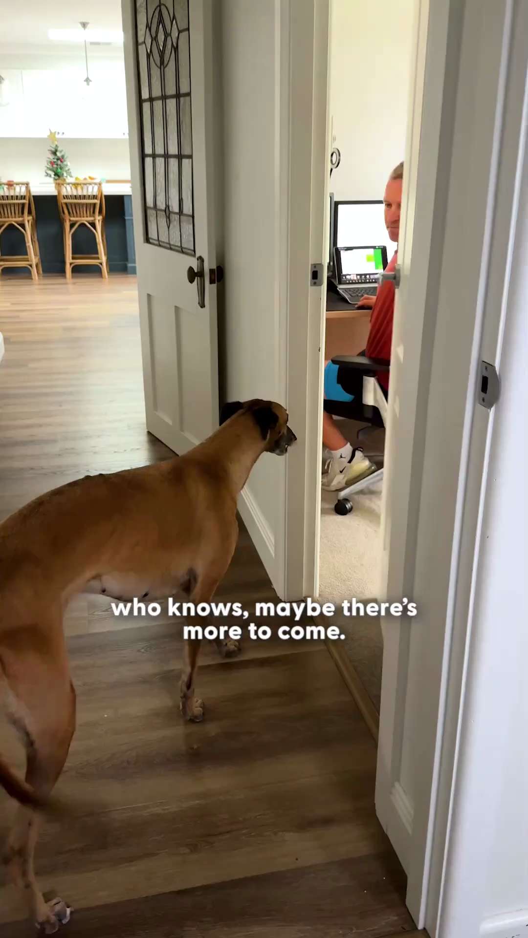 This Greyhound Story Broke Our Hearts — Then Healed Us
