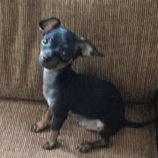 Visit Lana Christen's profile on GETTR. View their posts, photos, videos, and connect with them on the social platform.