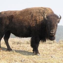 Rebellion to tyrants is obedience to God - B Franklin