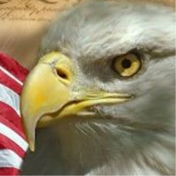 Trump Supporter #Maga 🇺🇸🦅  East TN. Twitter name: (oliviaand24) 🏈 🥃