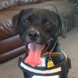 Disabled elderly pensioner.  Distrusts all MSM.  Prefers dogs to most people.  They're more honest and often more intell...