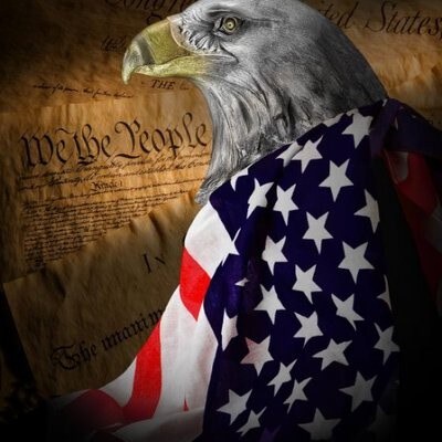 Red-pilled Independent. INTJ.