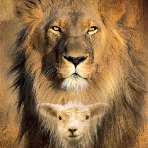 GOD, Family, Freedom, Dog Mom, MAGA, #2A, The Constitution is my passport, Psalm 11, Justice is Coming.