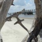 I am a Christian, lover of my Country and my President, and fighter of the New World Order, trying to wrench our country...