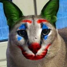 Travel, Music, Finding Beauty