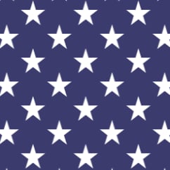 Christian Nationalist and PROUD PUREBLOOD!

Freedom's just another word for nothing left to loose