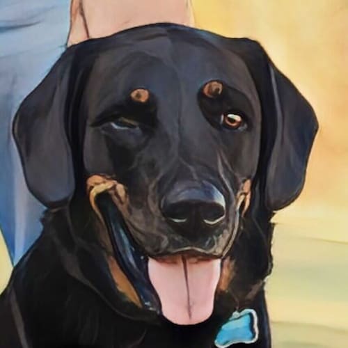 Christian, Patriot, Conservative, Doctor of Theology - Find me on GAB: Dr_Fred57