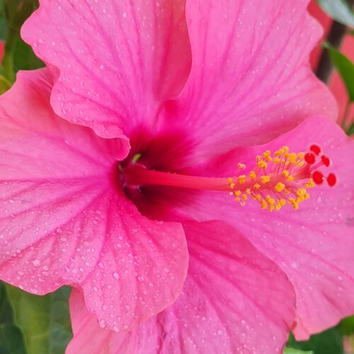 Hallo ich Jan~Marc heiße Dich Herzlich willkommen auf dem Kanal "Hertz Healing"