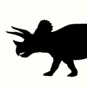 Visit conjecture_call's profile on GETTR. View their posts, photos, videos, and connect with them on the social platform.