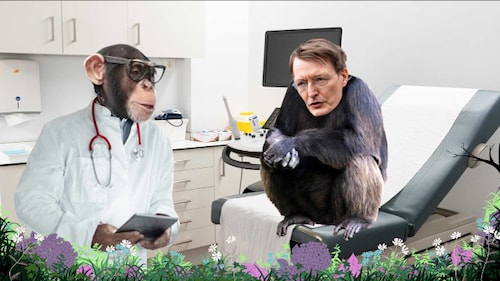 Jetzt auch noch Affenpocken (+AFD-Leaks) - HW#147