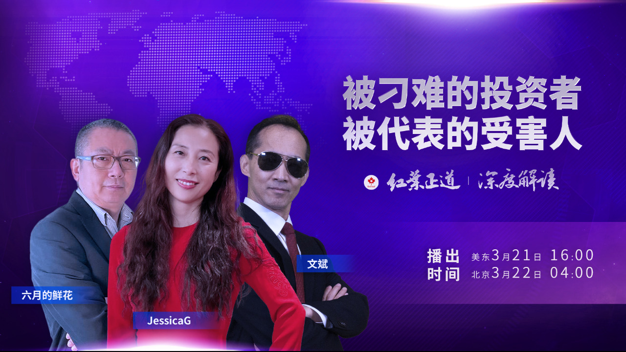 2023.03.21《红叶正道》第25期 全球战友等着七哥回来：被刁难的投资者 被代表的受害人