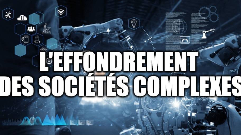 L'EFFONDREMENT DES SOCIÉTÉS COMPLEXES