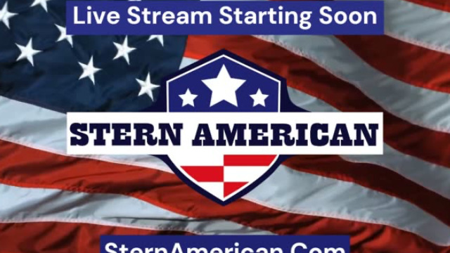 Election Integrity Call With Steve Stern