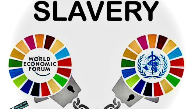 Monday Live: Controlled Opposition, Controlled Demolitions, Jew Controlled Uni Opens In Ireland