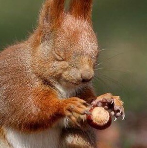 Visit DaniEla's profile on GETTR. View their posts, photos, videos, and connect with them on the social platform.